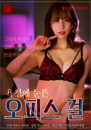拾光杂货铺 热播电视剧全集手机观看